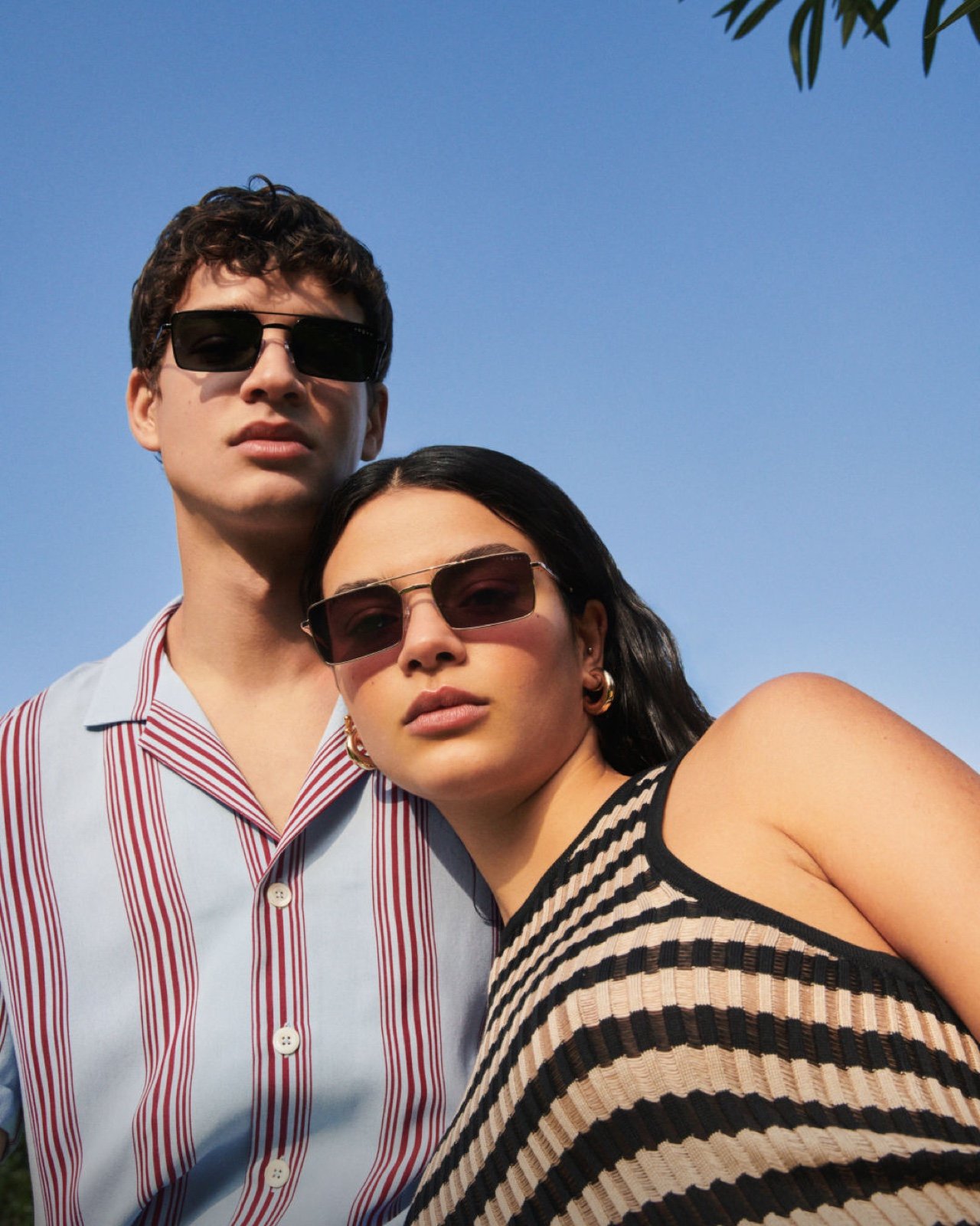 Collection solaires