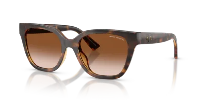 Armani Exchange AX4164SU color Havana Brillante