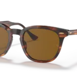 Ray-Ban RB2298 color Havana a Rayas