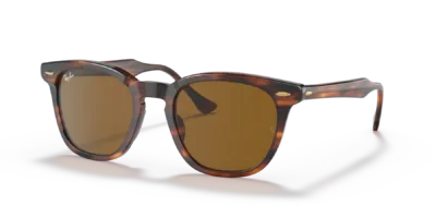 Ray-Ban RB2298 color Havana a Rayas
