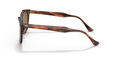 Ray-Ban RB2298 color Havana a Rayas
