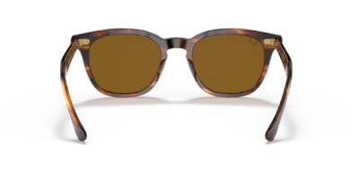 Ray-Ban RB2298 color Havana a Rayas