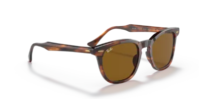 Ray-Ban RB2298 color Havana a Rayas