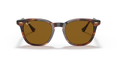 Ray-Ban RB2298 color Havana a Rayas