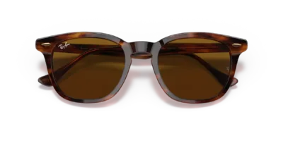 Ray-Ban RB2298 color Havana a Rayas